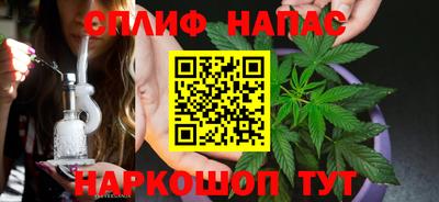 сатива Бердск