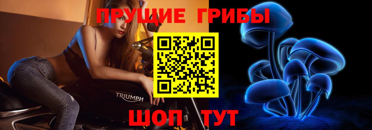 Псилоцибиновые грибы ЛСД  закладка  Вход с VPN  Йошкар-Ола  Галлюциногенные грибы мицелий 